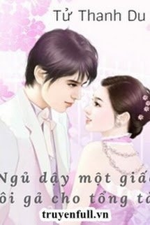 Ngủ Dậy Một Giấc Tôi Gả Cho Tổng Tài