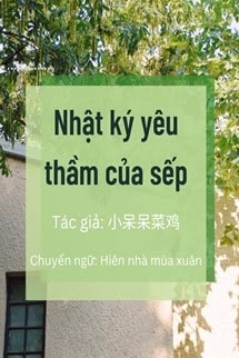 Nhật Ký Yêu Thầm Của Sếp